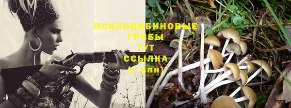 мет Бронницы
