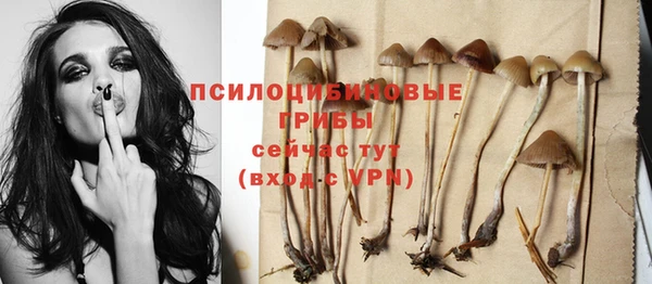 эйфоретик Семёнов