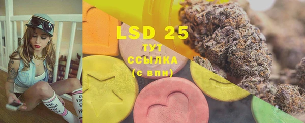 ГАЛЛЮЦИНОГЕННЫЕ ГРИБЫ Бугульма