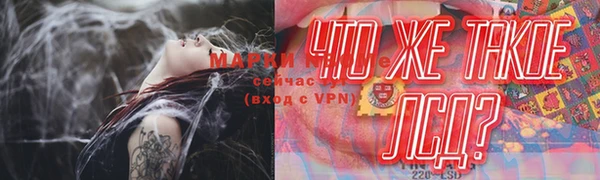 ГАЛЛЮЦИНОГЕННЫЕ ГРИБЫ Бугульма